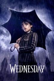 ดูหนังออนไลน์ฟรี เว้นส์เดย์ 2022 Wednesday Season 1 2022