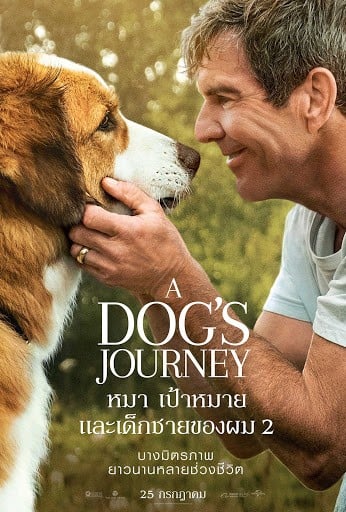 ดูหนังออนไลน์ฟรี A Dog’s Journey (2019) หมา เป้าหมาย และเด็กชายของผม 2