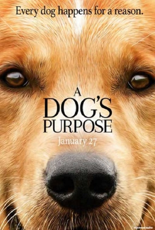 ดูหนังออนไลน์ฟรี A Dog’s Purpose (2017) หมา เป้าหมาย และเด็กชายของผม