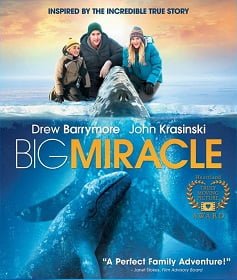 ดูหนังออนไลน์ฟรี Big Miracle (2012) ปาฏิหารย์วาฬสีเทา